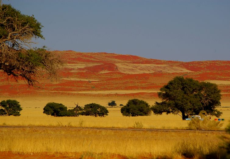 313 Namibia Okt 2006 Namib Naukluft Park.JPG